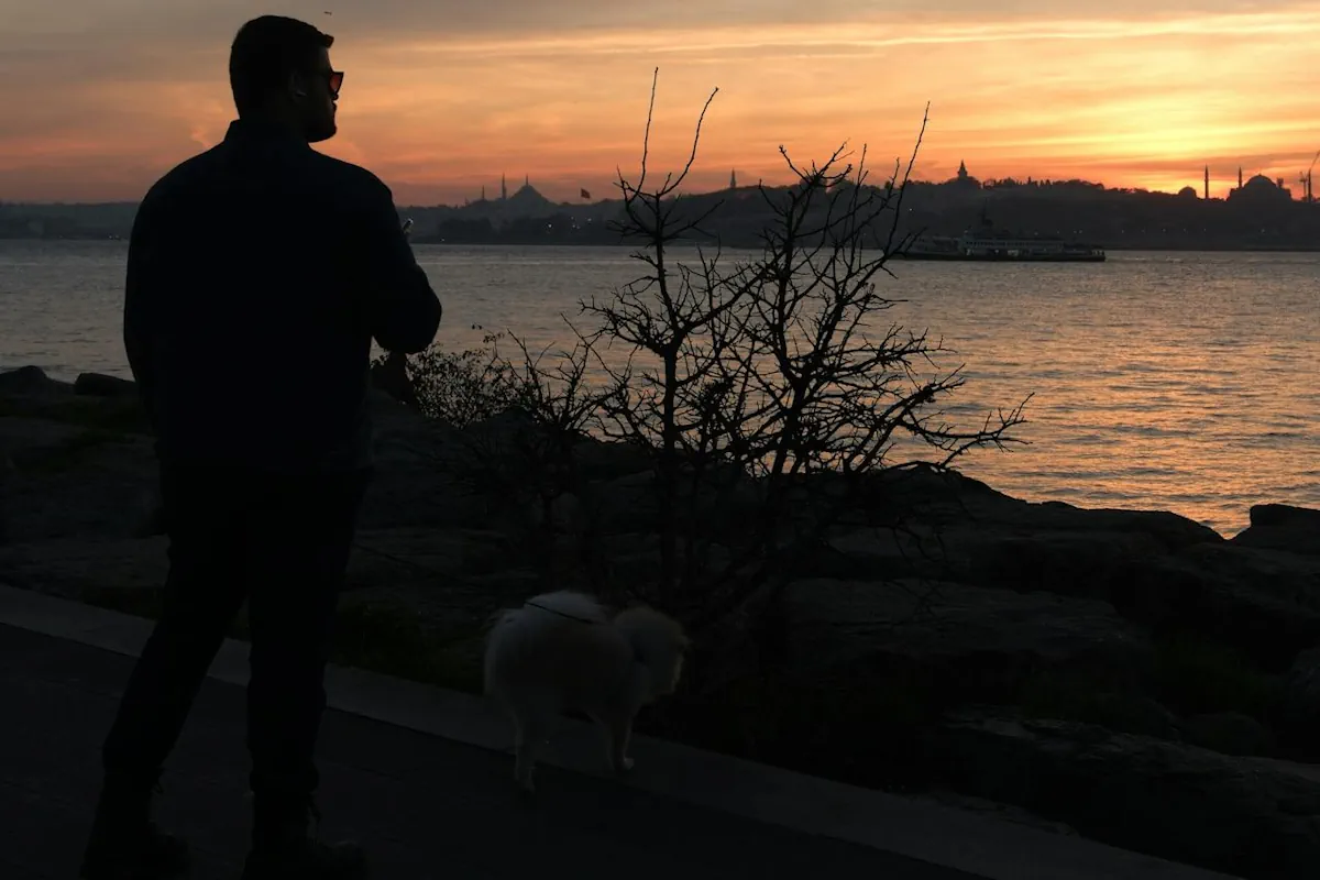 Hur länge löper en hund idag?